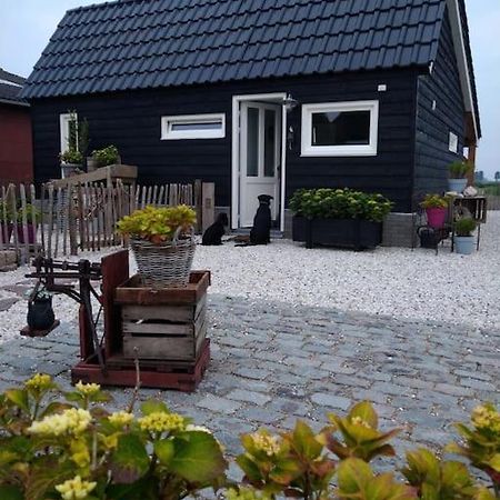 Wellness Chalet Met Jacuzzi, Sauna, Omheinde Tuin, Sint Annaland Esterno foto