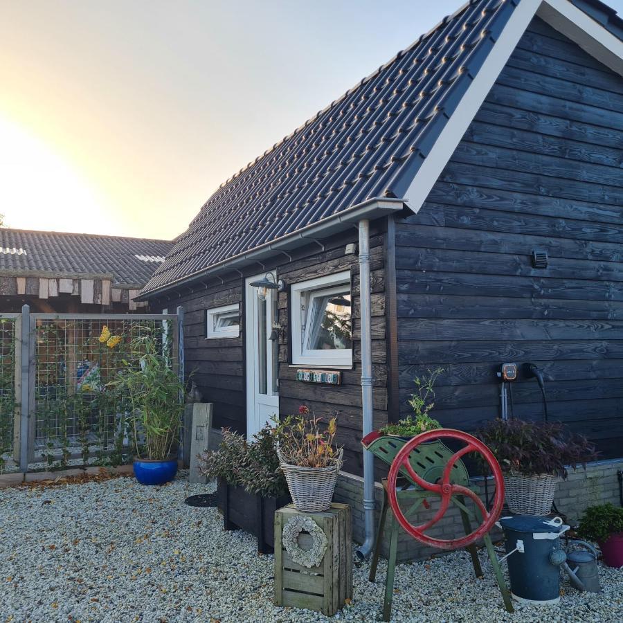 Wellness Chalet Met Jacuzzi, Sauna, Omheinde Tuin, Sint Annaland Esterno foto